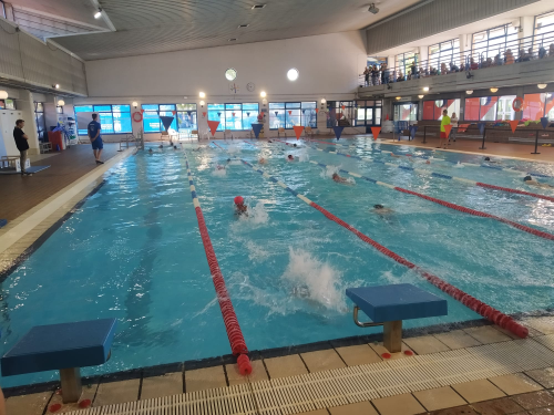 Imagen Cursillos verano Natación. A partir 18 mayo. 10:00 h.